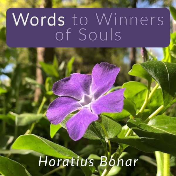 Words to Winners of Souls by Horatius Bonar Audiobook Cover Art